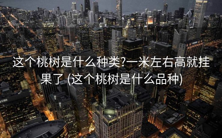 这个桃树是什么种类?一米左右高就挂果了 (这个桃树是什么品种)