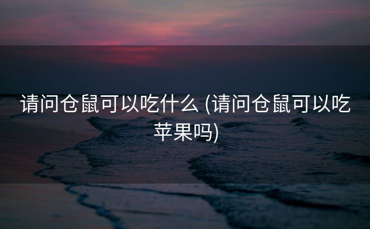 请问仓鼠可以吃什么 (请问仓鼠可以吃苹果吗)
