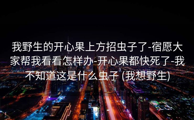 我野生的开心果上方招虫子了-宿愿大家帮我看看怎样办-开心果都快死了-我不知道这是什么虫子 (我想野生)