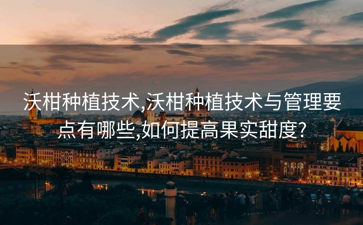 沃柑种植技术,沃柑种植技术与管理要点有哪些,如何提高果实甜度?