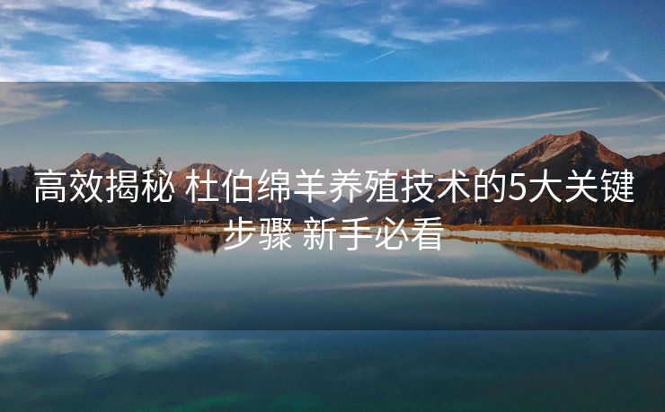 高效揭秘 杜伯绵羊养殖技术的5大关键步骤 新手必看