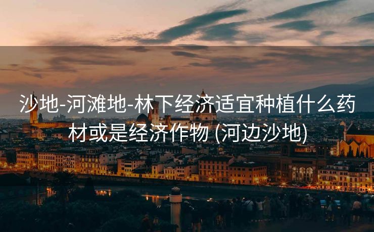 沙地-河滩地-林下经济适宜种植什么药材或是经济作物 (河边沙地)