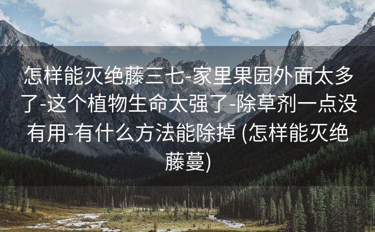 怎样能灭绝藤三七-家里果园外面太多了-这个植物生命太强了-除草剂一点没有用-有什么方法能除掉 (怎样能灭绝藤蔓)