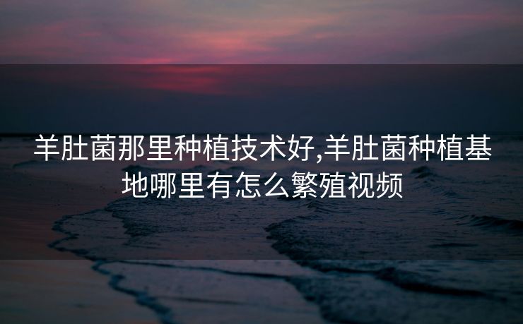 羊肚菌那里种植技术好,羊肚菌种植基地哪里有怎么繁殖视频