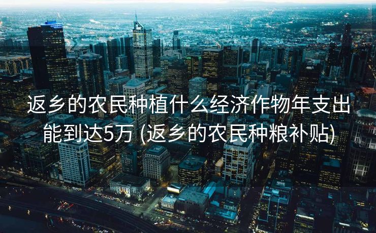 返乡的农民种植什么经济作物年支出能到达5万 (返乡的农民种粮补贴)