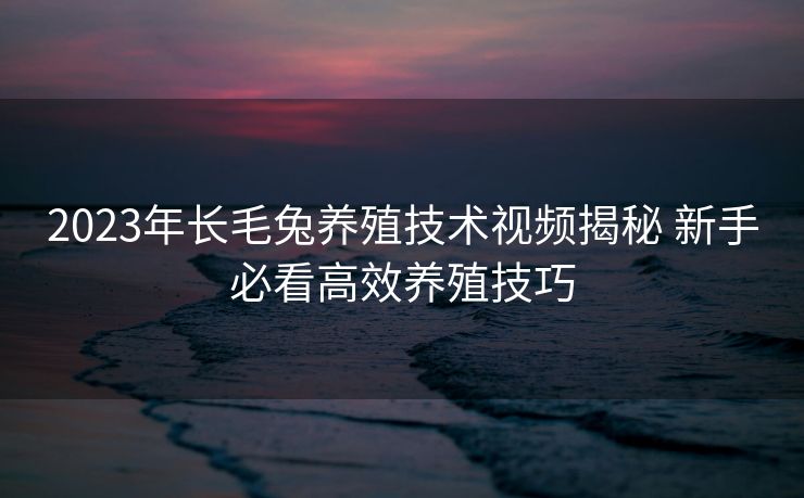2023年长毛兔养殖技术视频揭秘 新手必看高效养殖技巧