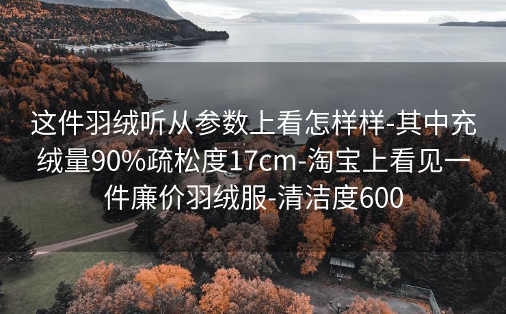 这件羽绒听从参数上看怎样样-其中充绒量90%疏松度17cm-淘宝上看见一件廉价羽绒服-清洁度600