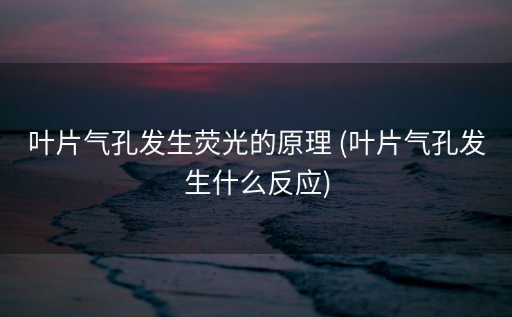 叶片气孔发生荧光的原理 (叶片气孔发生什么反应)