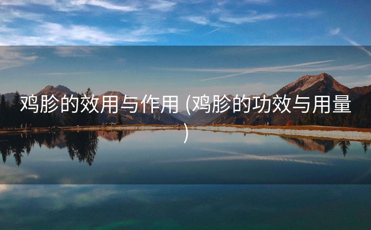 鸡胗的效用与作用 (鸡胗的功效与用量)