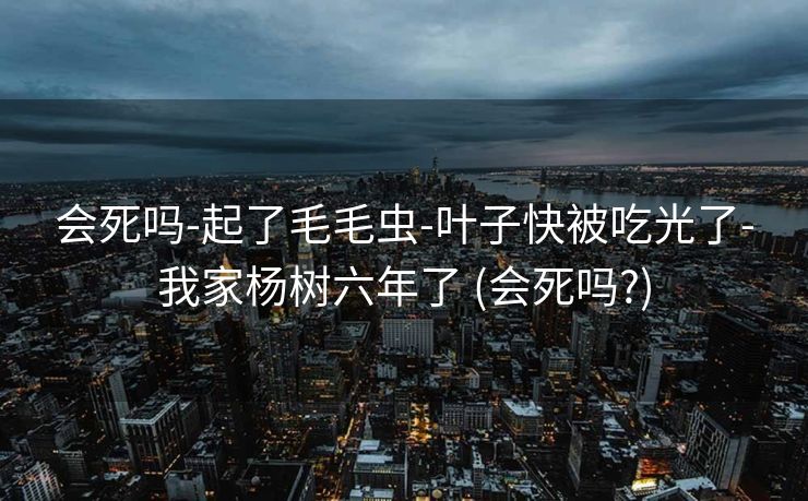 会死吗-起了毛毛虫-叶子快被吃光了-我家杨树六年了 (会死吗?)