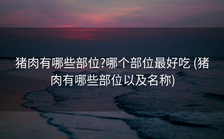 猪肉有哪些部位?哪个部位最好吃 (猪肉有哪些部位以及名称)