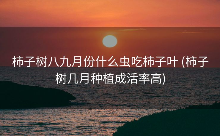 柿子树八九月份什么虫吃柿子叶 (柿子树几月种植成活率高)