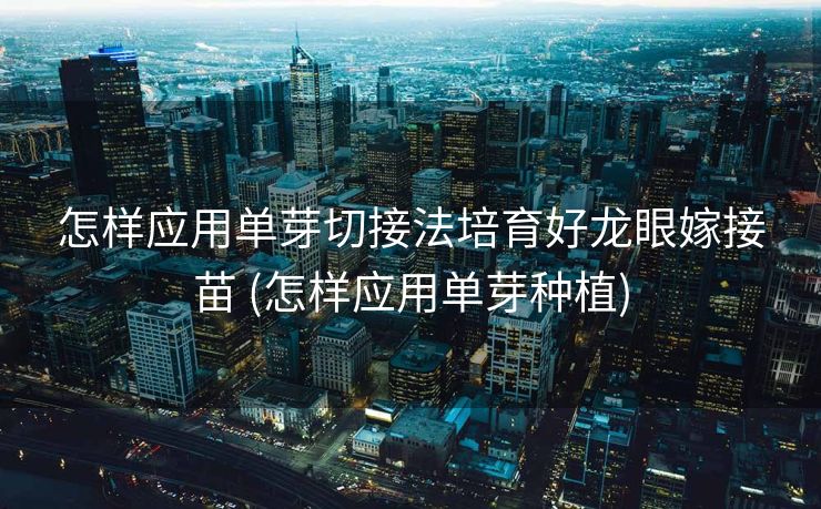 怎样应用单芽切接法培育好龙眼嫁接苗 (怎样应用单芽种植)