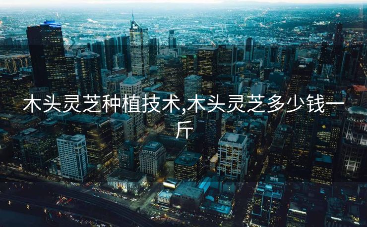 木头灵芝种植技术,木头灵芝多少钱一斤