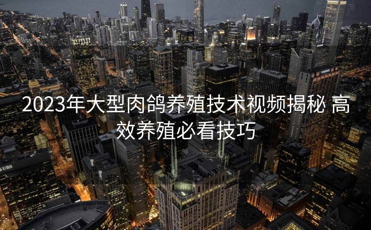 2023年大型肉鸽养殖技术视频揭秘 高效养殖必看技巧