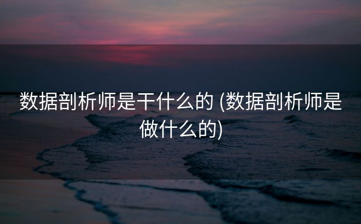 数据剖析师是干什么的 (数据剖析师是做什么的)