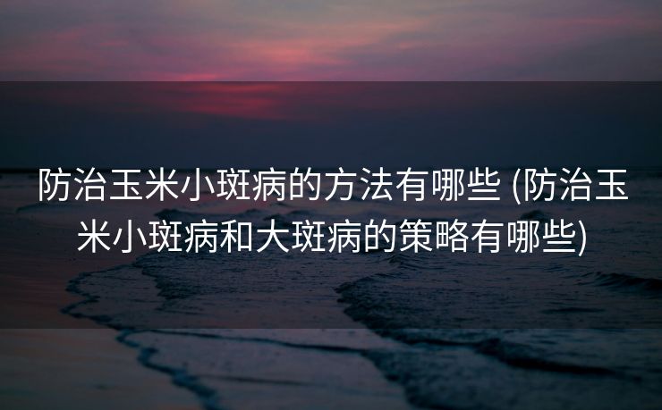 防治玉米小斑病的方法有哪些 (防治玉米小斑病和大斑病的策略有哪些)