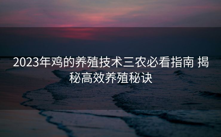2023年鸡的养殖技术三农必看指南 揭秘高效养殖秘诀