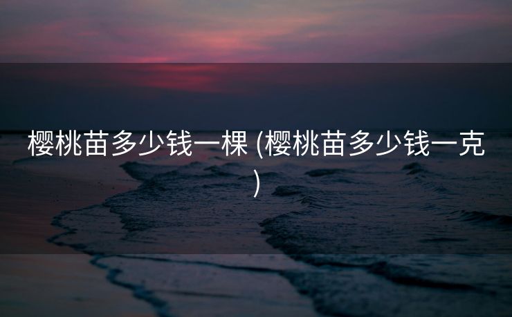 樱桃苗多少钱一棵 (樱桃苗多少钱一克)