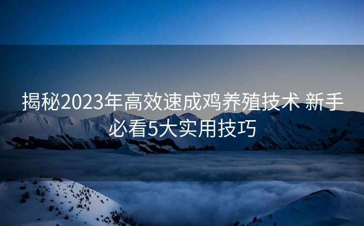 揭秘2023年高效速成鸡养殖技术 新手必看5大实用技巧