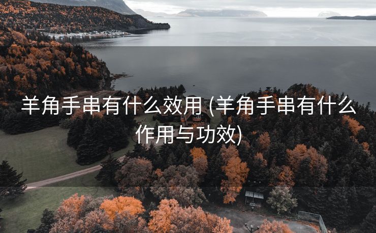 羊角手串有什么效用 (羊角手串有什么作用与功效)