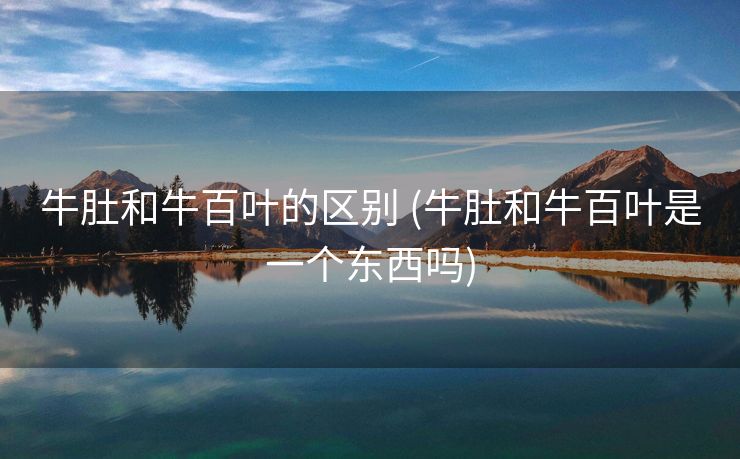 牛肚和牛百叶的区别 (牛肚和牛百叶是一个东西吗)