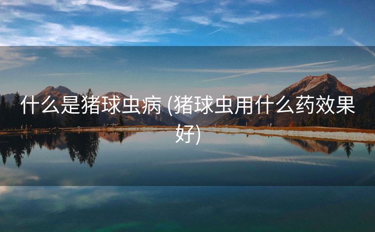 什么是猪球虫病 (猪球虫用什么药效果好)