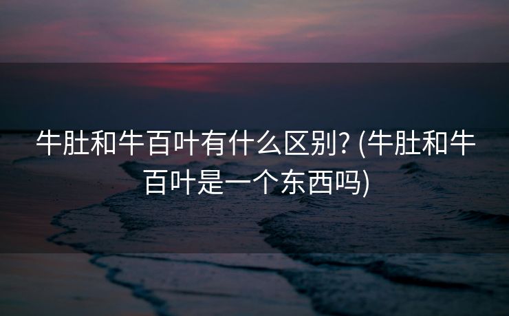 牛肚和牛百叶有什么区别? (牛肚和牛百叶是一个东西吗)