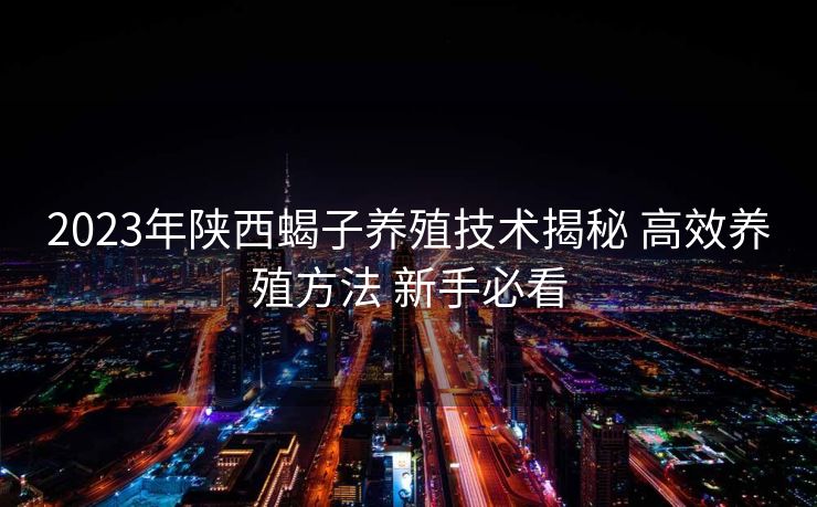 2023年陕西蝎子养殖技术揭秘 高效养殖方法 新手必看
