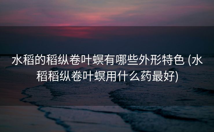 水稻的稻纵卷叶螟有哪些外形特色 (水稻稻纵卷叶螟用什么药最好)