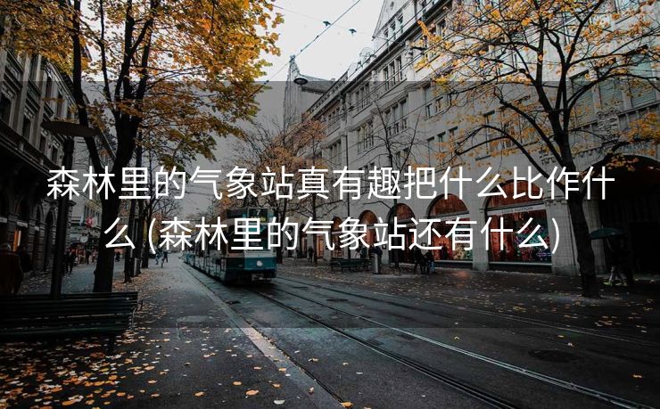 森林里的气象站真有趣把什么比作什么 (森林里的气象站还有什么)