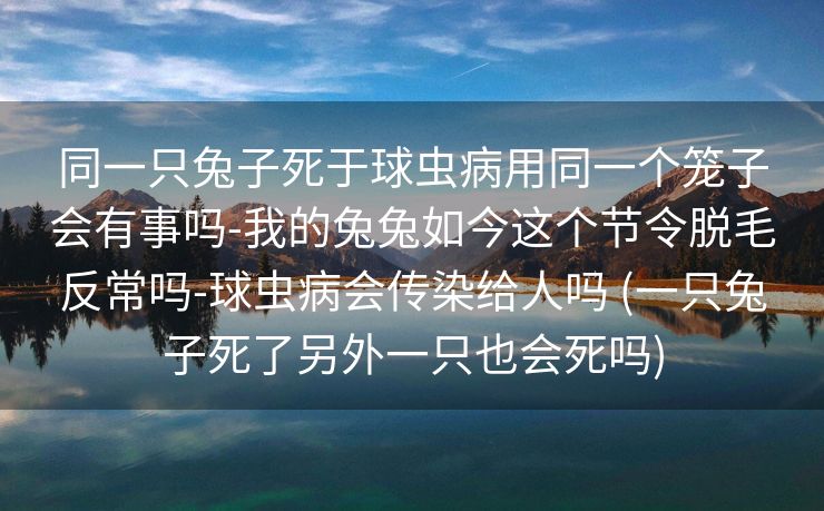 同一只兔子死于球虫病用同一个笼子会有事吗-我的兔兔如今这个节令脱毛反常吗-球虫病会传染给人吗 (一只兔子死了另外一只也会死吗)