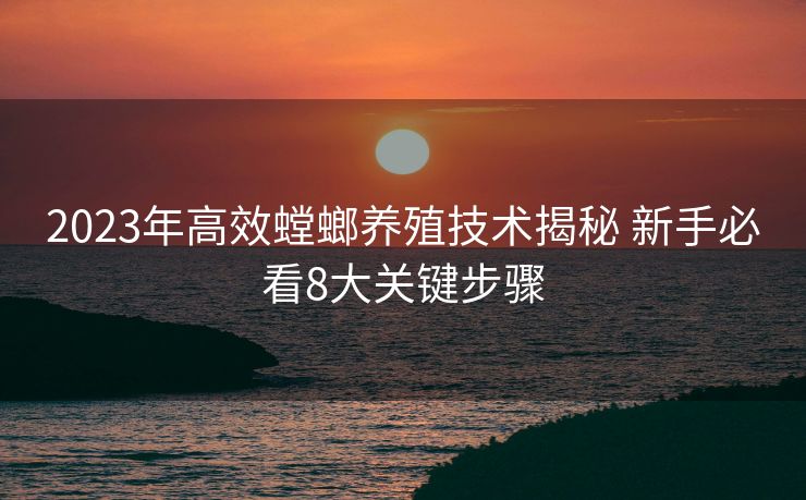 2023年高效螳螂养殖技术揭秘 新手必看8大关键步骤