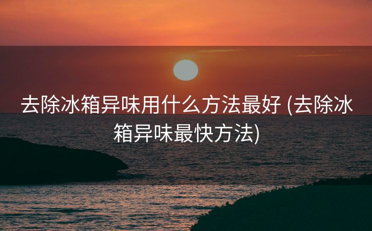 去除冰箱异味用什么方法最好 (去除冰箱异味最快方法)