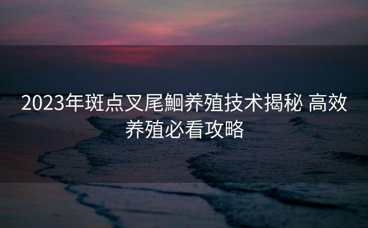 2023年斑点叉尾鮰养殖技术揭秘 高效养殖必看攻略