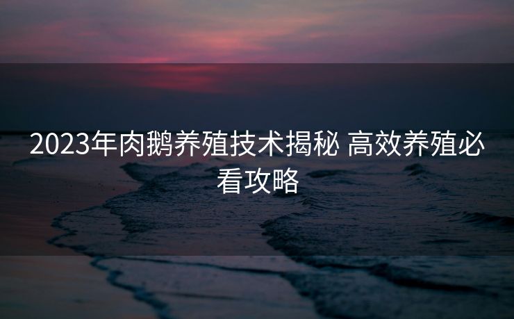 2023年肉鹅养殖技术揭秘 高效养殖必看攻略