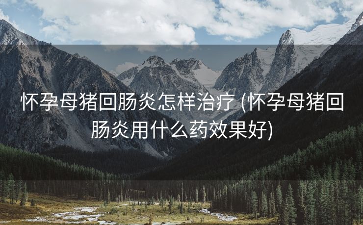 怀孕母猪回肠炎怎样治疗 (怀孕母猪回肠炎用什么药效果好)