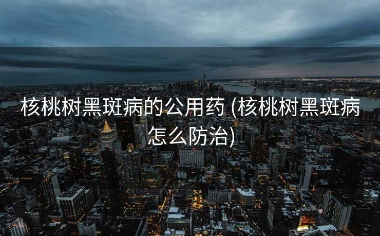 核桃树黑斑病的公用药 (核桃树黑斑病怎么防治)