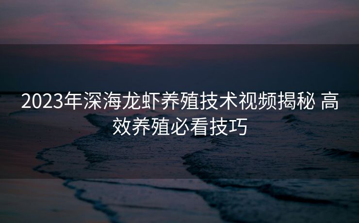 2023年深海龙虾养殖技术视频揭秘 高效养殖必看技巧