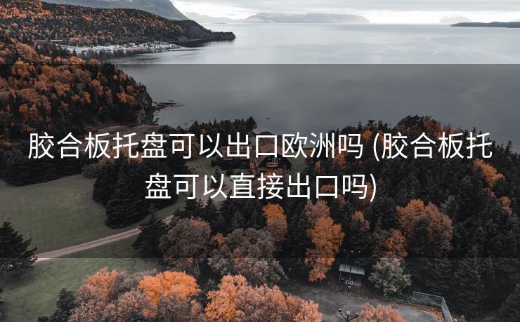 胶合板托盘可以出口欧洲吗 (胶合板托盘可以直接出口吗)