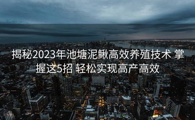 揭秘2023年池塘泥鳅高效养殖技术 掌握这5招 轻松实现高产高效