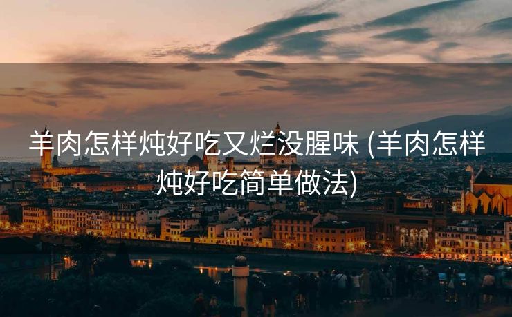 羊肉怎样炖好吃又烂没腥味 (羊肉怎样炖好吃简单做法)