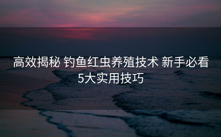 高效揭秘 钓鱼红虫养殖技术 新手必看5大实用技巧