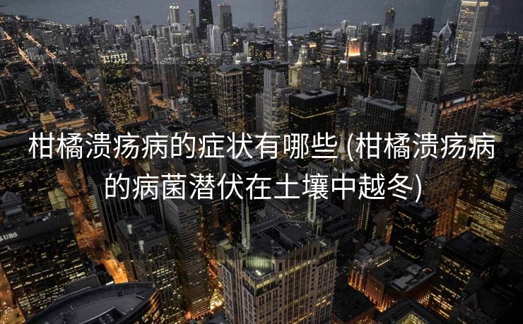 柑橘溃疡病的症状有哪些 (柑橘溃疡病的病菌潜伏在土壤中越冬) 柑橘溃疡病的症状有哪些 (柑橘溃疡病的病菌潜伏在土壤中越冬)