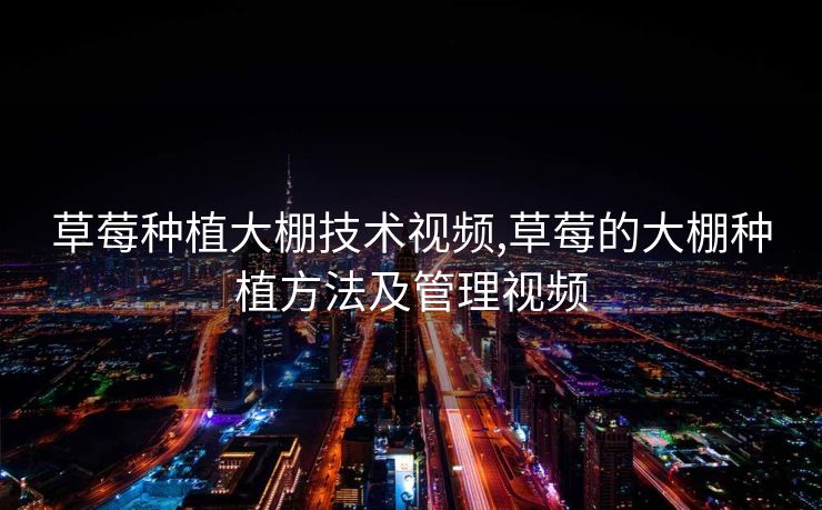 草莓种植大棚技术视频,草莓的大棚种植方法及管理视频