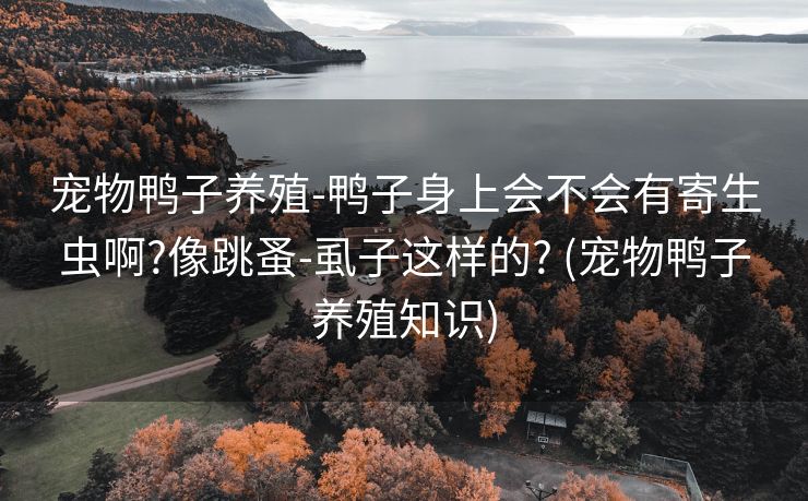 宠物鸭子养殖-鸭子身上会不会有寄生虫啊?像跳蚤-虱子这样的? (宠物鸭子养殖知识)