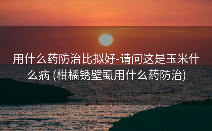 用什么药防治比拟好-请问这是玉米什么病 (柑橘锈壁虱用什么药防治)