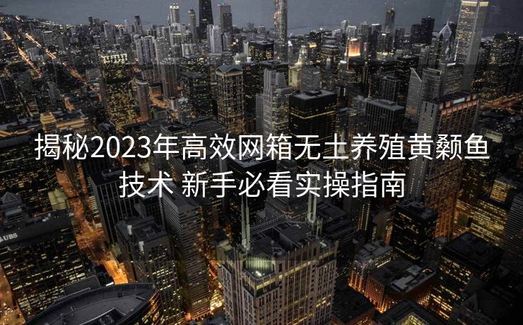 揭秘2023年高效网箱无土养殖黄颡鱼技术 新手必看实操指南