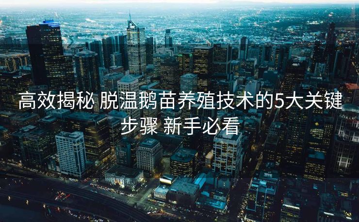高效揭秘 脱温鹅苗养殖技术的5大关键步骤 新手必看