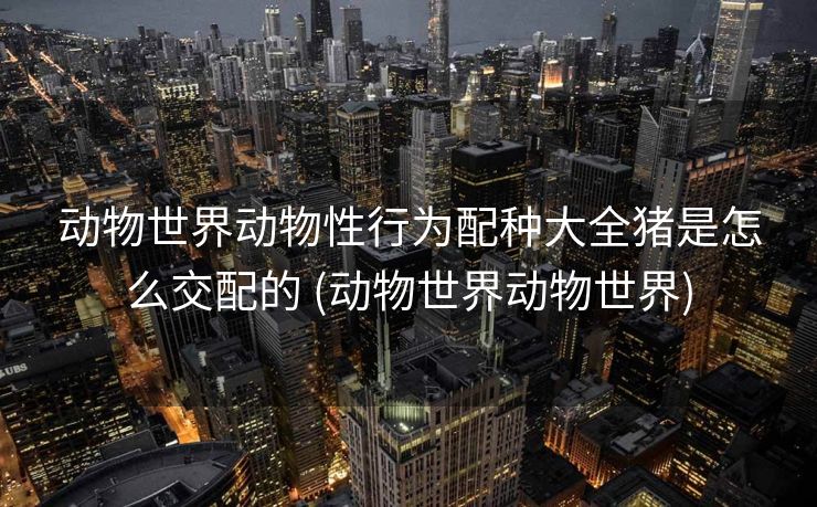 动物世界动物性行为配种大全猪是怎么交配的 (动物世界动物世界)